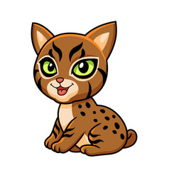 Cute Pixie Bob Cat Cartoon