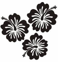 Honolulu Flower Royalty Free Vector Image - Vectorstock