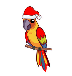 Parrot With Christmas Cap