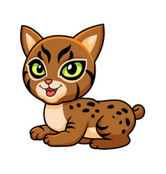 Cute Pixie Bob Cat Cartoon