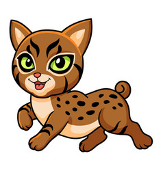 Cute Pixie Bob Cat Cartoon