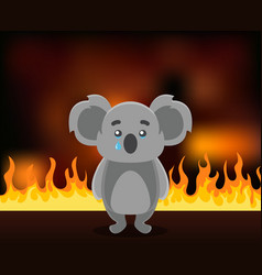 Animal Koala On Fire Sad Koala Crying Burning