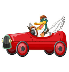 Soapbox Derby With Duck Driving Car