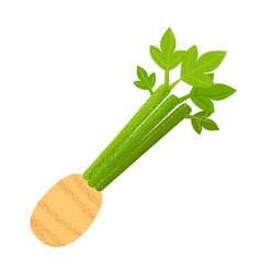 Celery Root Icon Cartoon Icon