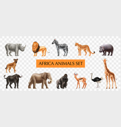 Africa Animals Transparent Set