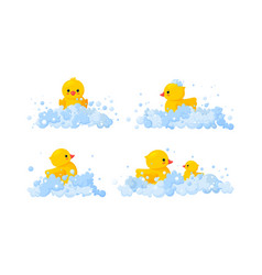 Rubber Duck Family In Soap Foam Isolated In White