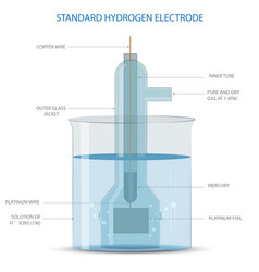 A Standard Hydrogen Electrode She