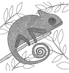 Coloring Page With Chameleon