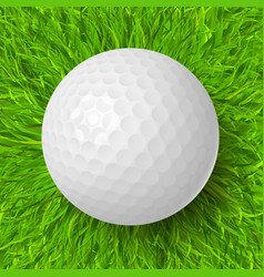 Golf Ball On Grass