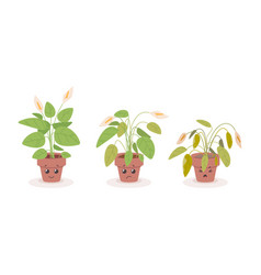 Cartoon Fading Houseplant Dying Cute Flower In