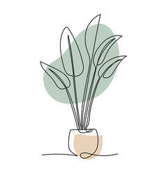 Plant In Pot Line Art Contour Drawing Minimalism