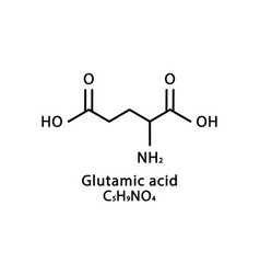 Glutamic Acid Molecular Structure Glutamate