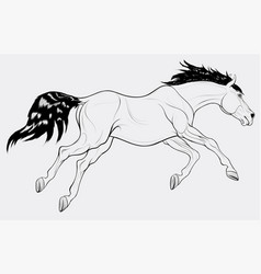 Running Horse With Long Mane