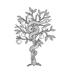 Serpent On Apple Tree Sketch