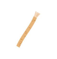 Siwak Or Miswak Organic Toothbrush Isolated