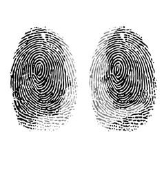 Fingerprint Id Woman And Man White Wallpaper