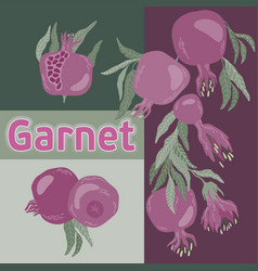 Hand Drawn Poster Pomegranate Fruits Garnet Pink