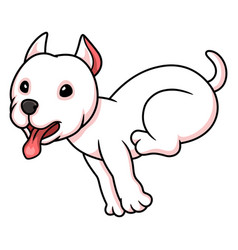 Cute Dogo Argentino Dog Cartoon Running