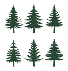 Pine Tree Silhouette Set Collection