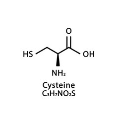 Cysteine Molecular Structure Skeletal