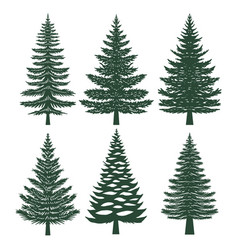 Pine Tree Silhouette Set Collection