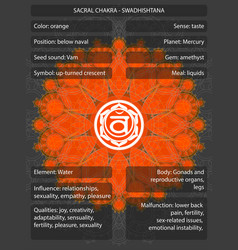 Chakras symbols with meanings infographic Vector Image