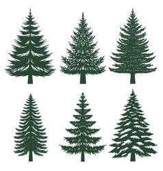 Pine Tree Silhouette Set Collection