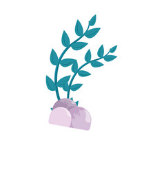 Isolated Colored Seaweed Sketch Icon