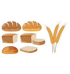 Set Of Bread And Wheat