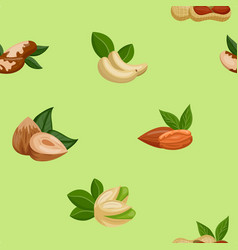 Nut Pattern Dry Fruits And Seeds On Green