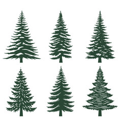 Pine Tree Silhouette Set Collection