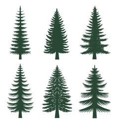 Pine Tree Silhouette Set Collection