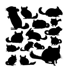 Chinchilla Animal Silhouettes