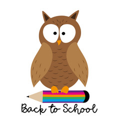 Back To School - Hand Drawn Owl On Pencil