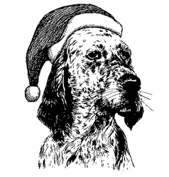 Christmas English Setter Dog 1