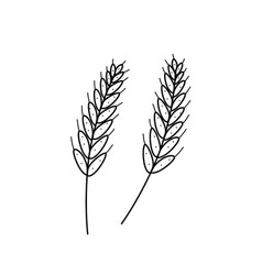 Ears Of Wheat Icon Doodle Style A Grown Grain