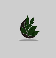 Leaf Png