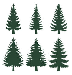 Pine Tree Silhouette Set Collection