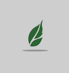 Leaf Png