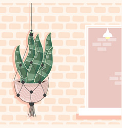 Macrame Hanger In Wall