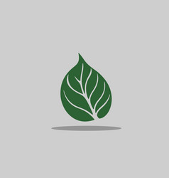 Leaf Png