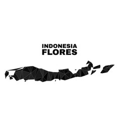 Polygonal Flores Islands Indonesia Map