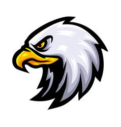 Eagle Head Logo Mascot Design