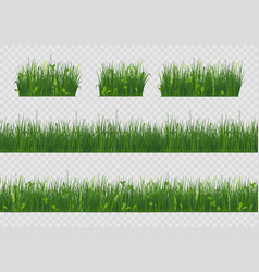 Spring Grass 3d Field Vegetation Fresh Green