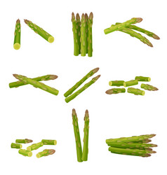 Fresh Green Asparagus Spears Set