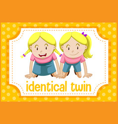 Vocabulary Flashcard With Word Identical Twin