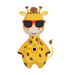 Cute Giraffe With Summer Sunglasses