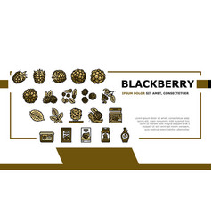 Blackberry Fruit Berry Black Food Landing Header