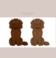 Boykin Spaniel Clipart Different Coat Colors