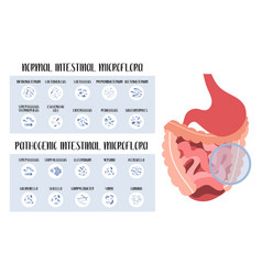 Intestinal Microflora Normal And Pathogenic